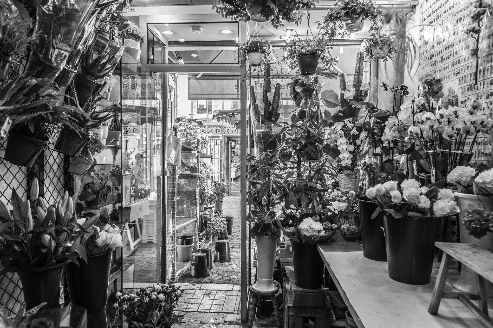 Un fleuriste au milieu des plantes et des bouquets de sa boutique.